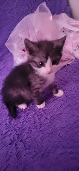 Бусинки маленькие,ищем очень хороших хозяев