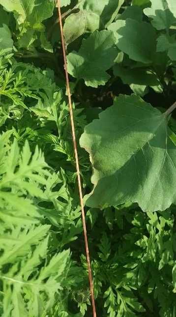 Aparat pentru gard electric 8J  15.000V Voltmetru digital