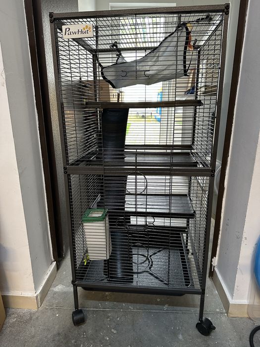 Cusca Shinshila Hamster veverita soricei porcusor de guineearozatoare