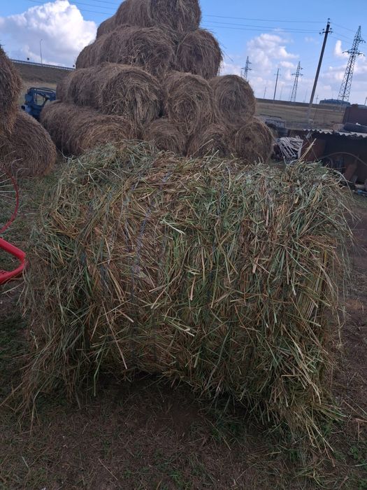 Продаётся сено..