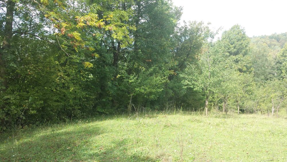 Teren intravilan Provita de jos(linga Breaza) PRAHOVA