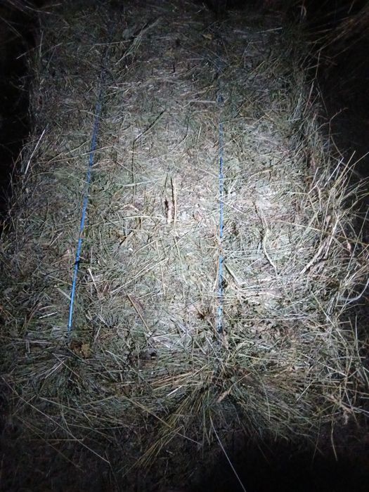 Baloti dreptunghiulari de otava și fîn !!!