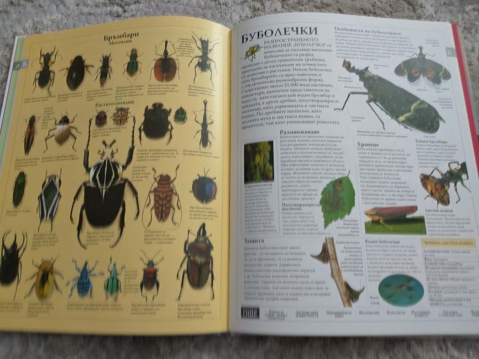 Семейна енциклопедия