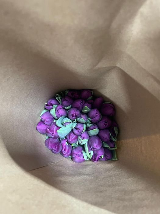 Тюльпаны оптом от 20шт по 500тг