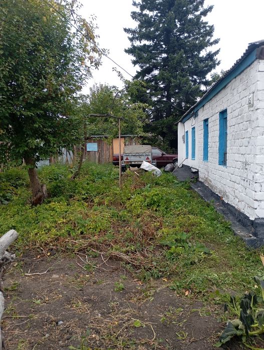 Продам дом в центре