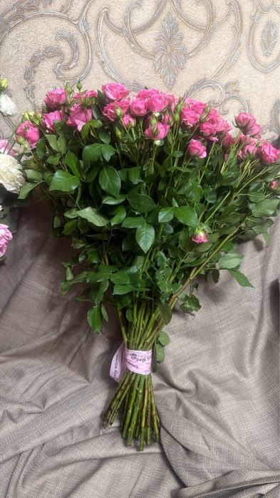 Продам цветы свежие