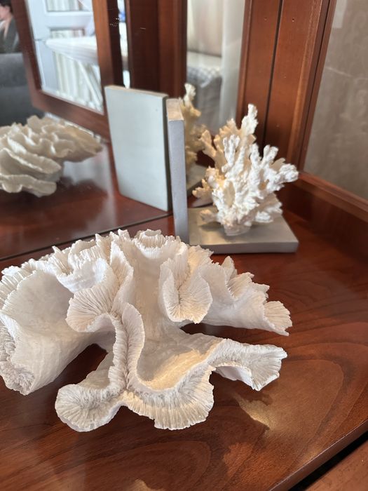 Декоративные кораллы Zara Home