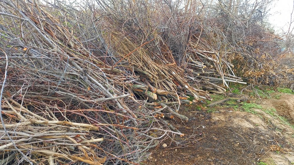 Otin sotiladi,orzon narxda