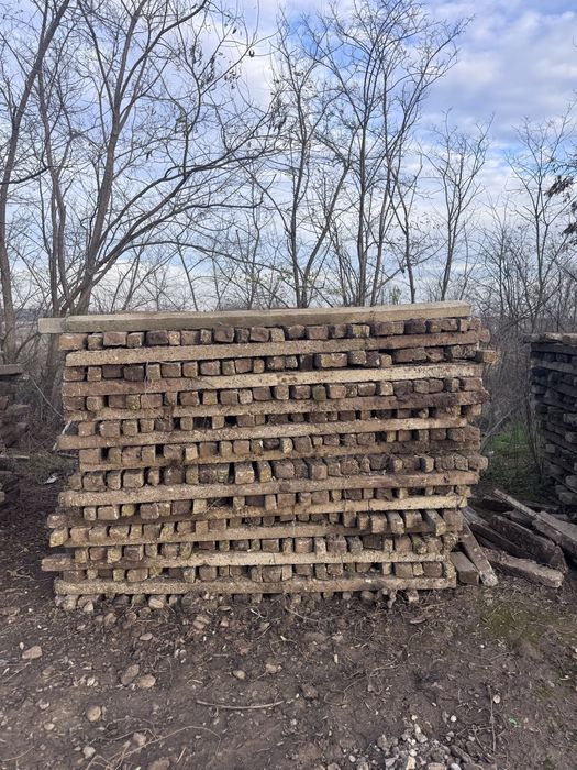 Vand spalieri vie din defrisare