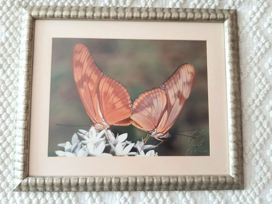 Продам интерьерные картины