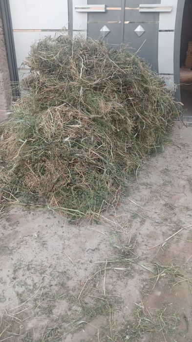 Бедалар сотилади