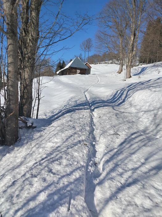Vand teren intravilan in Borsa Maramures, construibil