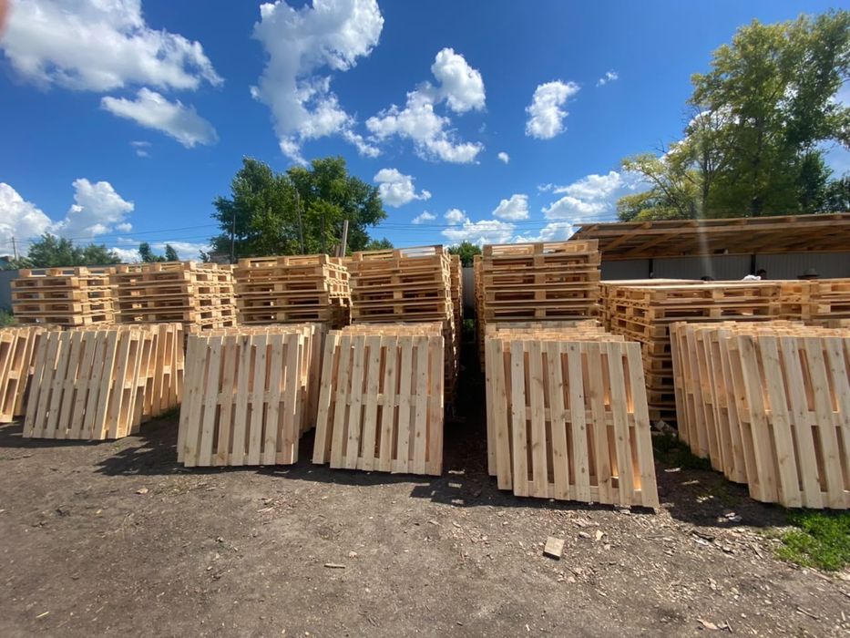 Продам новые поддоны (паллеты)