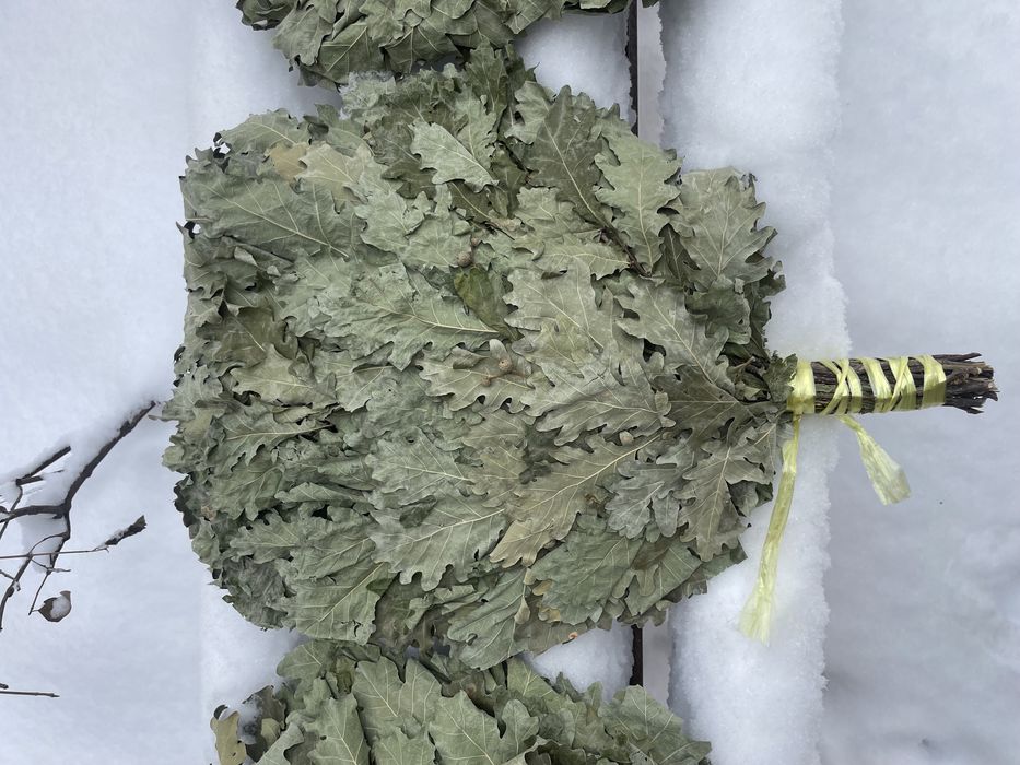 Дубовые веники