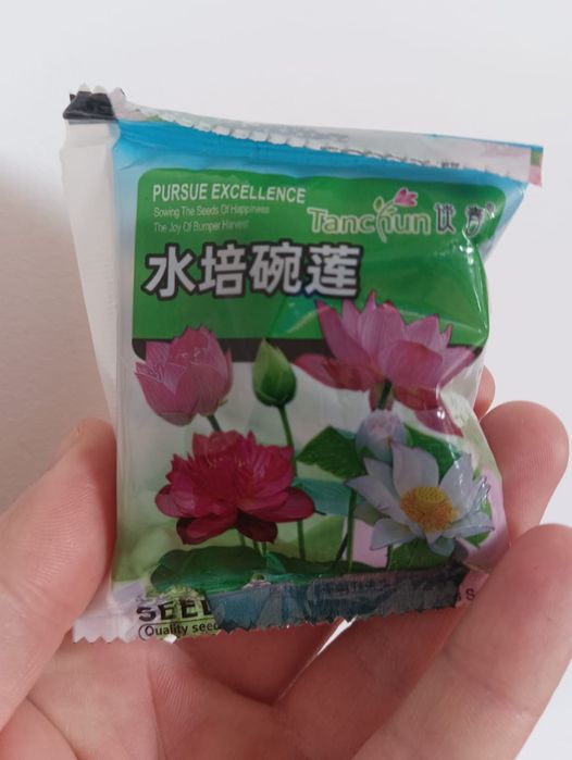 Семена лотоса...