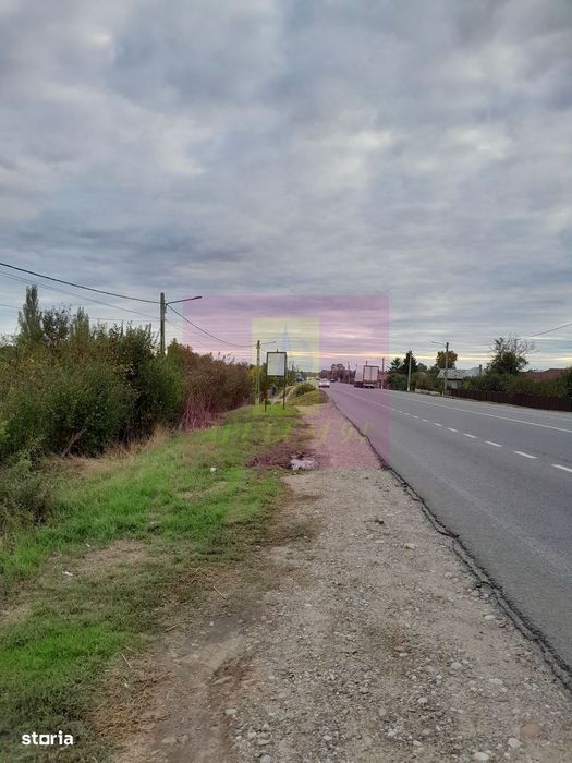 Cosereni (Il) - Se Vinde Teren 2000 Mp La Sos Bucuresti -Urziceni