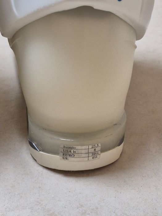 Ботинки для горных лыж