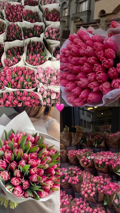 Принимаем заказы свежие тюльпаны