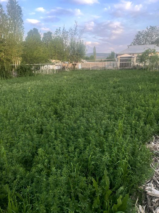 Продажа Участка ...