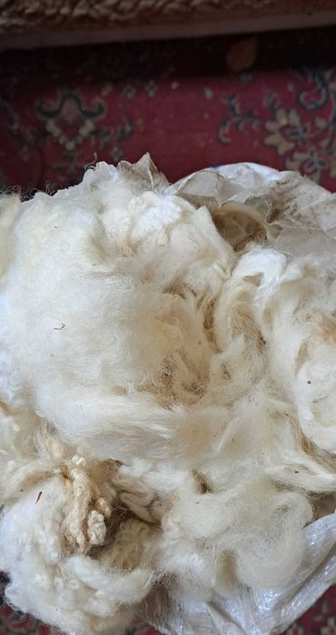Продам шерсть мериноса