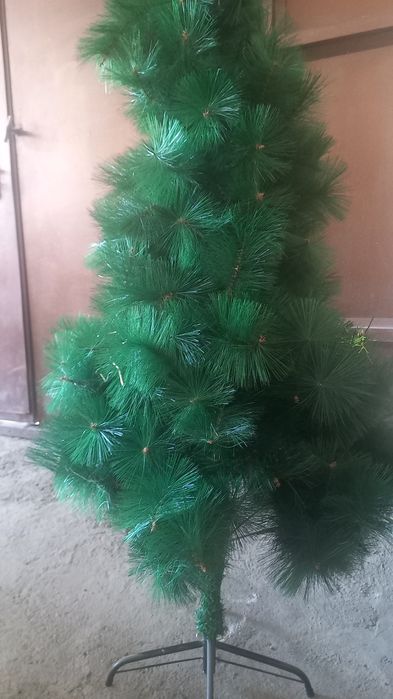 Xolati yaxshi judayam