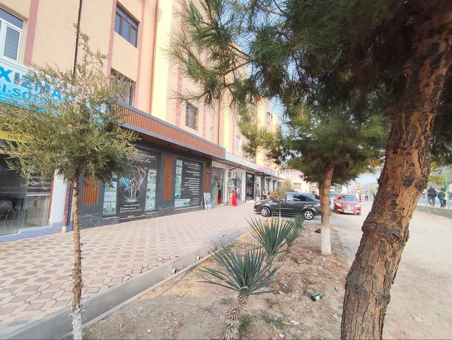 Нотурар 1 линия, Зангиота Зиёратгохида. зор локация