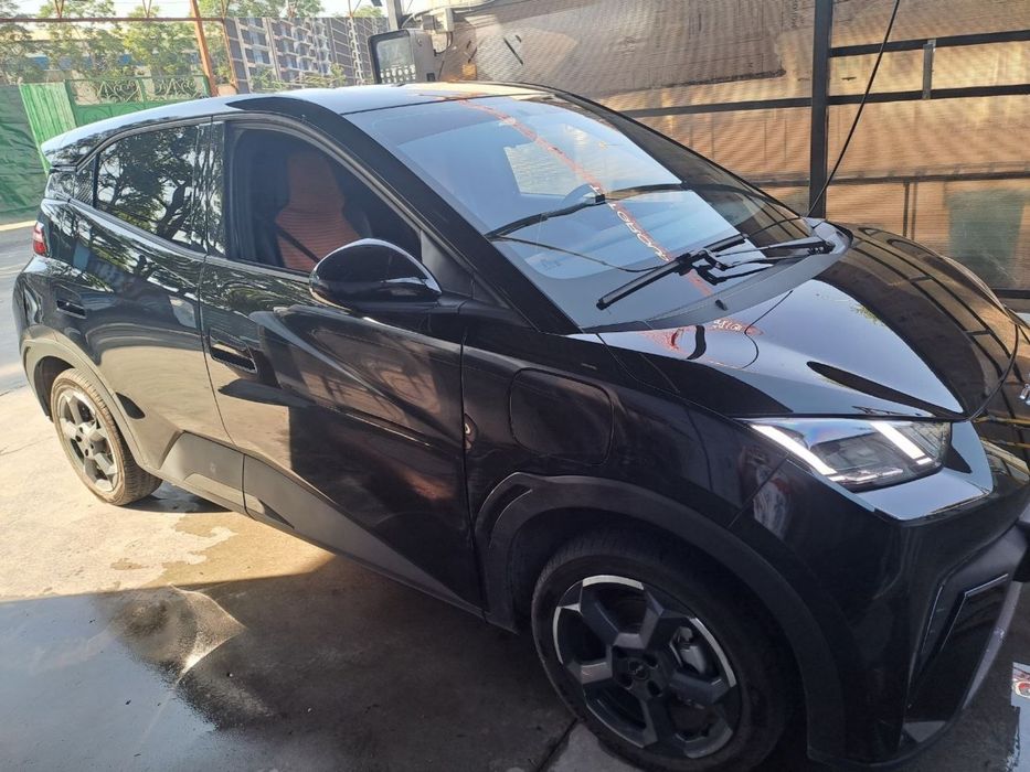 Byd Seagull 2024