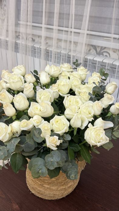 51 шт розы белые свежие