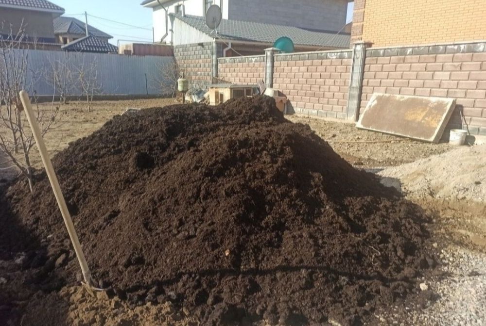 Көң кара шірік навоз көң көң