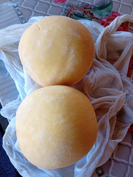 Caș de vaca de vanzare 40 lei kg