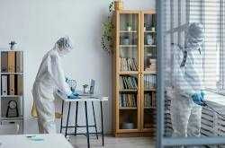 Уничтожение насекомых за 1 день