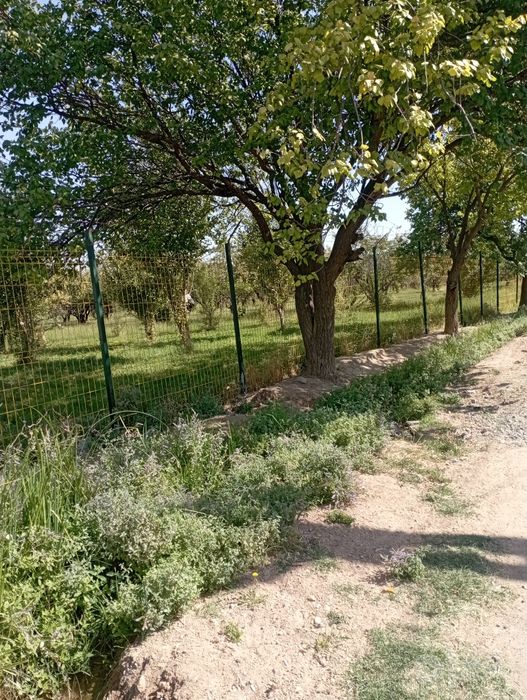 Обменяю землю на квартиру или на авто