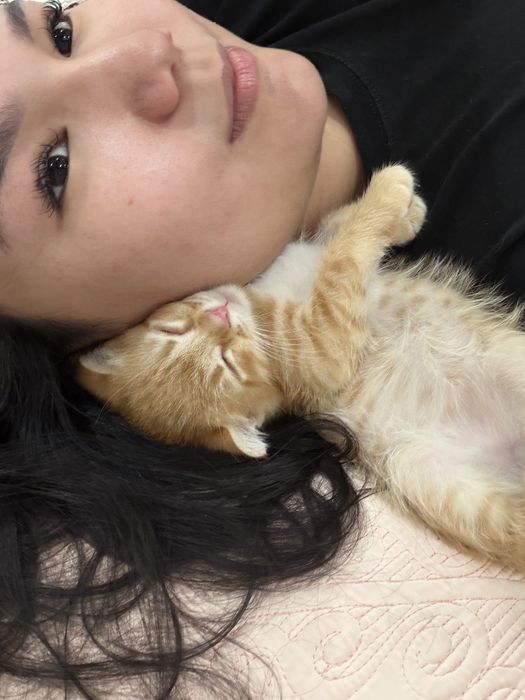 Вислухий Котёнок, 2 месяца