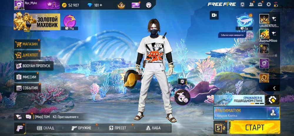 luizamatkarimova gmail com www dgs