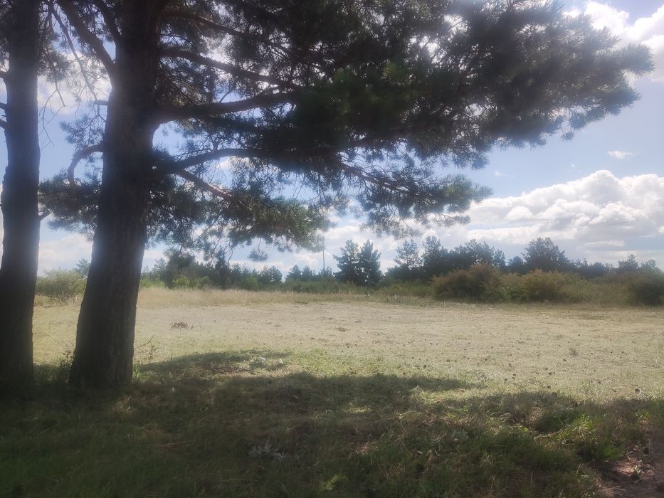 Земельный участок