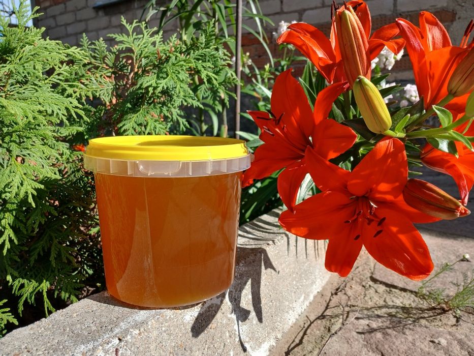 Мёд цветочное разнотравие