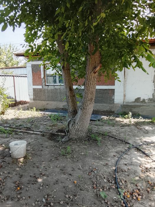 Продам дом в байсерке