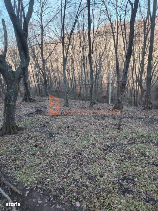 Teren intravilan zona Monteoru