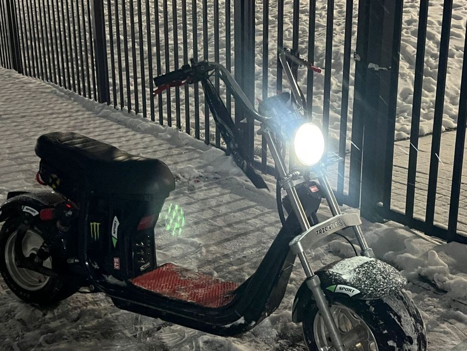 citycoco электро мопед