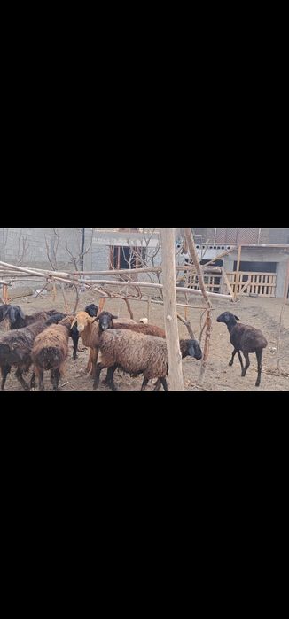 Ммммммммииииииииии