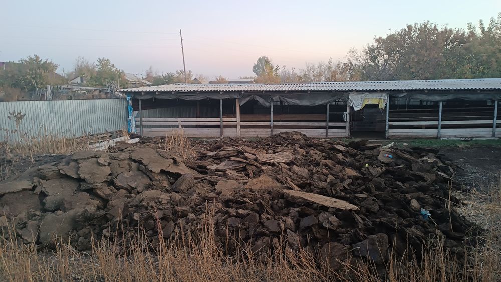 Навоз, перигной ,бараний,самовывоз