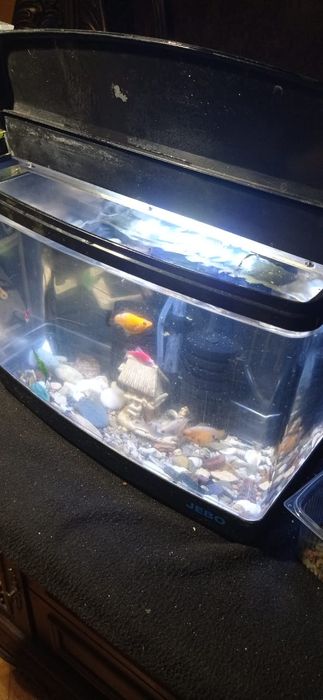 Заводской аквариум 15 литров