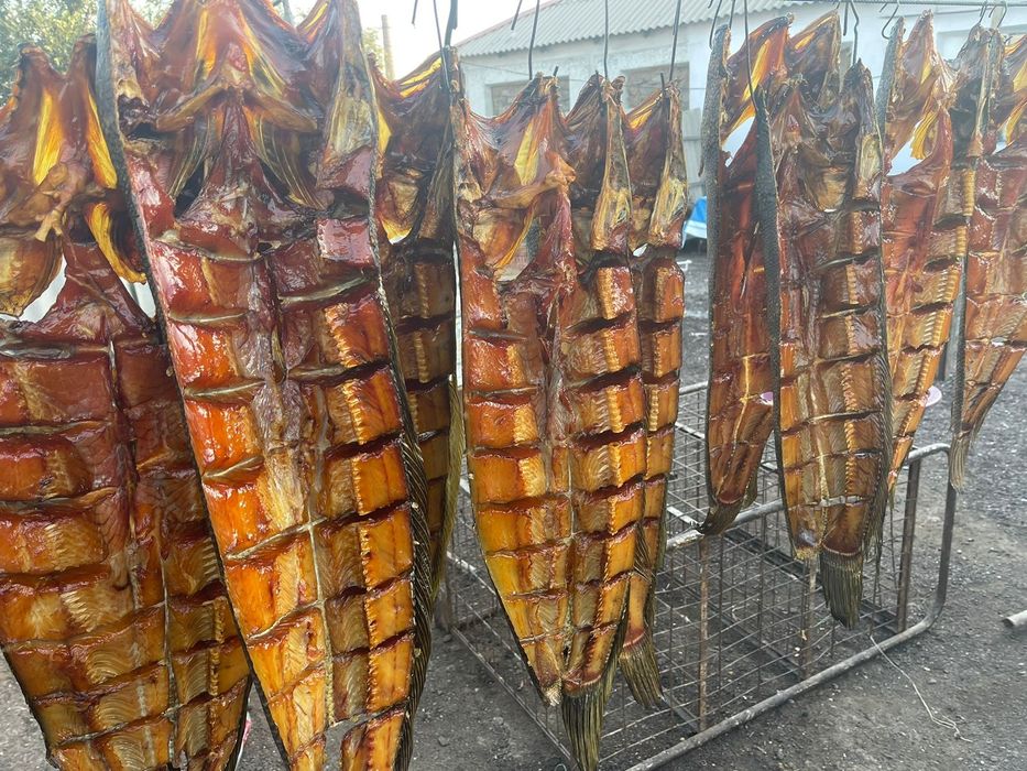 Балхашская копченая рыба . Оптом и в розницу .