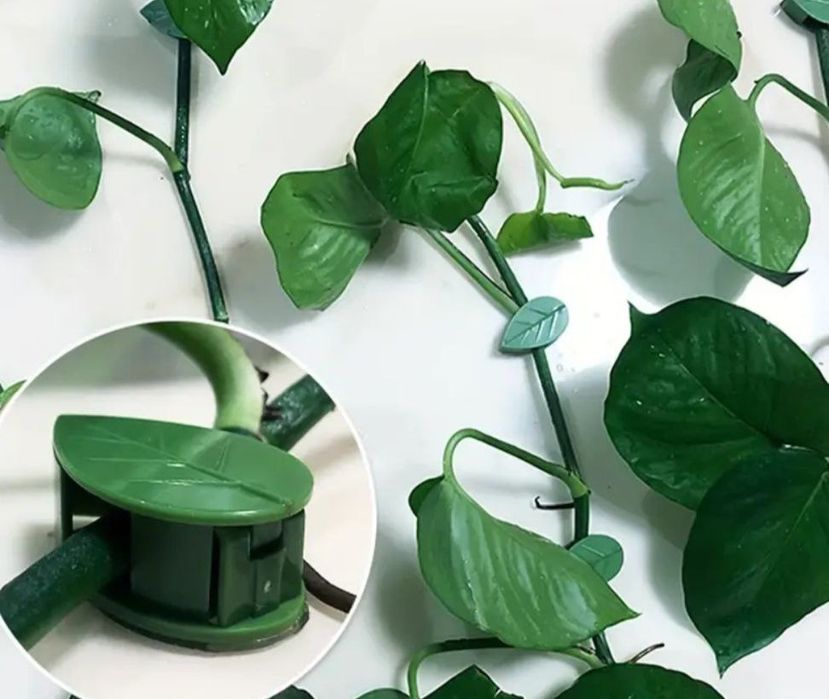 Gul (skindapsus,plush) shoxchalarini qistirish uchun qisqich

Pachkasi