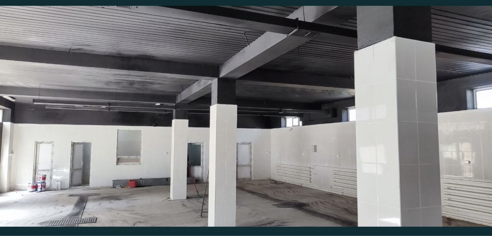 Покраска крыши дом фасады