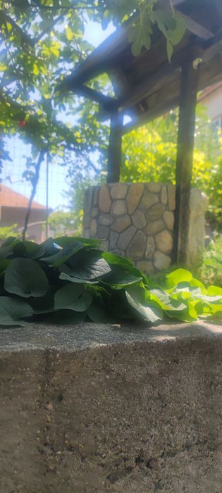 Продава се Къща в Пловдив, Тракия - 75 кв.м за 986 €/кв.м - Снимка #18