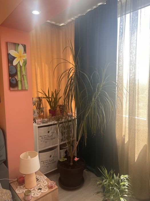 Apartament 2 camere decomandat, finisat modern, Intre Lacuri, zona Iulius Mall