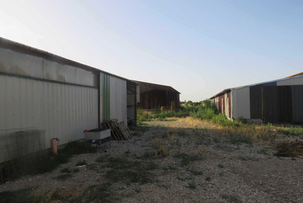 inchiriere hale productie/industrie