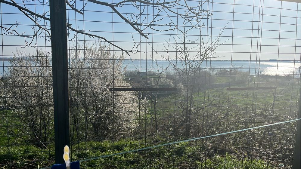 Inchiriez casa Ovidiu