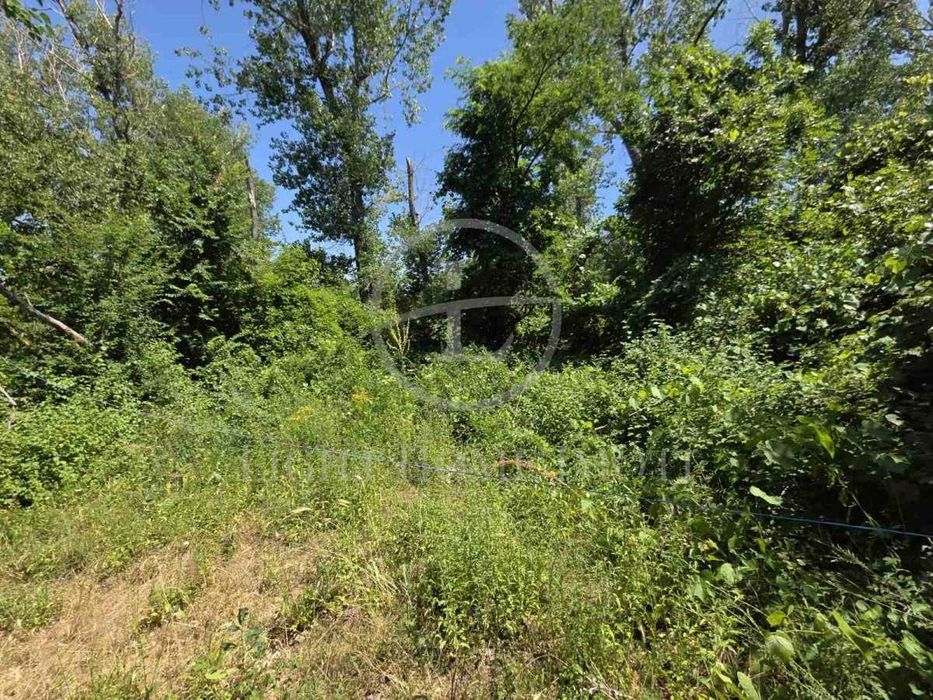 Продава се Парцел в с. Брестник, Област Пловдив - 600 кв.м за 50 €/кв.м - Снимка #7